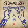 Slowburn310 - Feel My Vibe - Single
